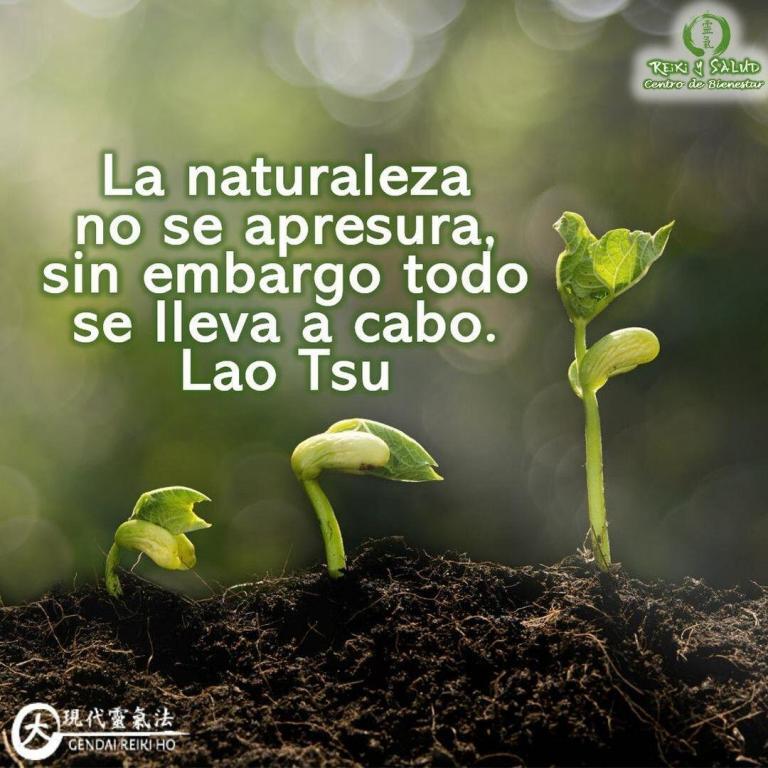 💛La naturaleza no se apresura, sin embargo todo se lleva a cabo. Lao Tsu. Cada…