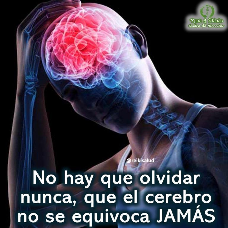 “No hay que olvidar nunca, que el cerebro no se equivoca JAMÁS”. “Si hay dolor…