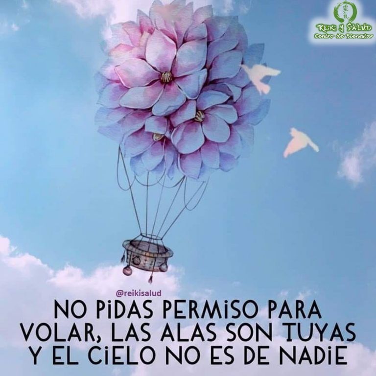No pidas permiso para volar, las alas son tuyas y el cielo no es de…