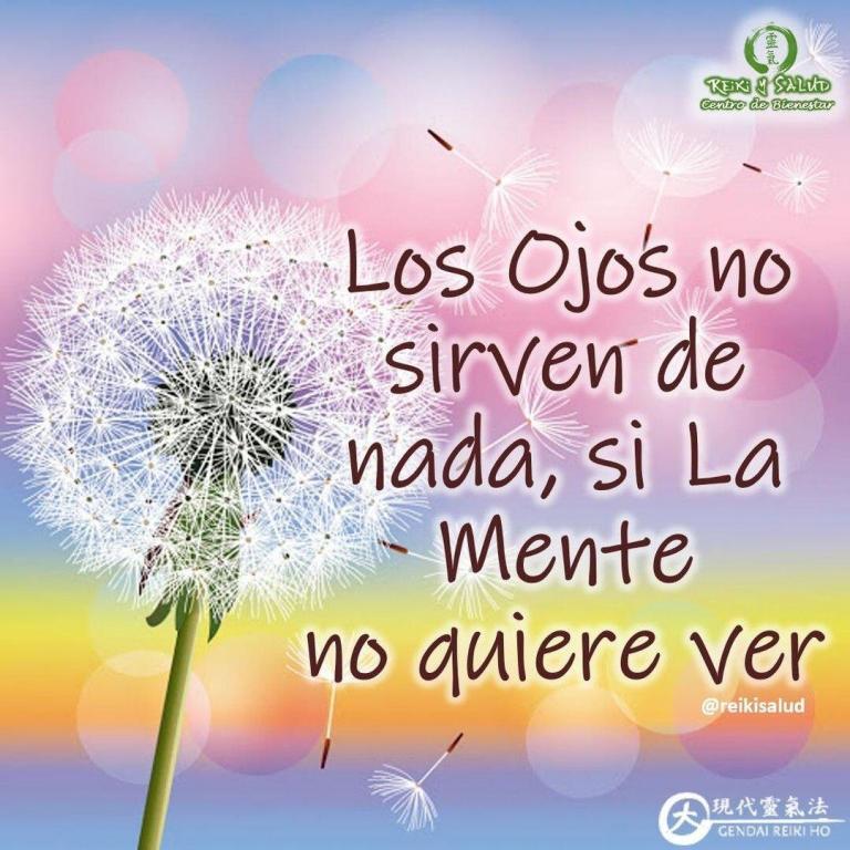 Los Ojos no sirven de nada si La Mente no quiere ver.⁣ Cosas que pueden…