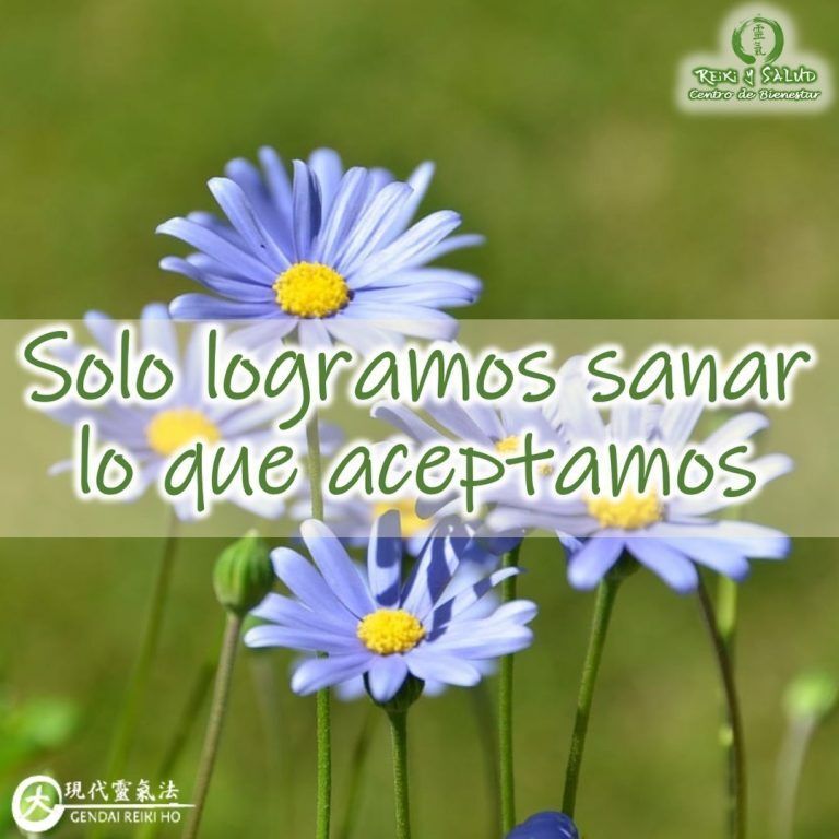 Solo logramos sanar, lo que aceptamos.Ese es el siguiente gran paso. Una vez que tomas…