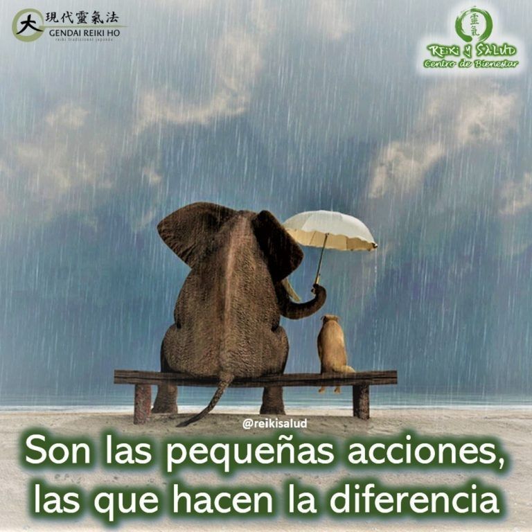 Son las pequeñas acciones, las que hacen la diferencia.Las pequeñas acciones comienzan dentro de nosotros,…