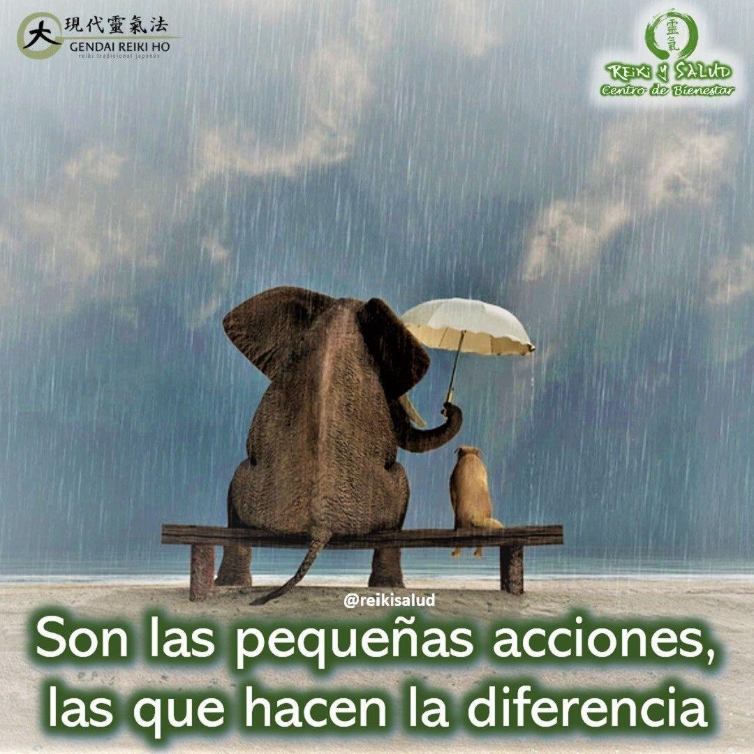 Son las pequeñas acciones, las que hacen la diferencia.Las pequeñas acciones comienzan dentro de nosotros, comienzan con nosotros. Si nosotros cambiamos, nuestro entorno cambia automáticamente.Quiero invitarlos a explorar e internalizar los principios de Reiki, que se convierten en la clave para promover en nuestras vidas un estado de felicidad y bienestar. Vivir bajo los principios de REIKI HO, “El secreto para invitar a la felicidad, la formula misteriosa para una SANACIÓN PROFUNDA. Procura vivir bajo estos cinco principios y habrás comenzado el camino de la sanación profunda.Los cinco principios que debemos hacer parte de nuestra vida, como parte del camino de Reiki Ho, son los siguientes:Solo por hoy, Soy alegre y jovial.Solo por hoy, Confío en mi futuro.Solo por hoy, Vivo agradecido.Solo por hoy, Soy amable.Solo por hoy, Llevo a cabo mi trabajo y misión correctamente, y desde la paz.Debemos tenerlos en cuenta a diario para evitar resonar con vibraciones de baja dimensión, densas, es decir, con vibraciones inarmónicas. Entonces conseguiremos vivir en resonancia con el universo y volveremos a nuestra verdadera esencia.La práctica de Reiki Ho, te ayuda a mejorar tu conexión con la energía de la más alta vibración, de la más alta dimensión, de la energía más pura del universo; permitiendo que la energía de la creación, nos de lo que más necesitemos, promoviendo en nuestras vidas, armonía, salud y felicidad.Gracias, gracias, gracias, Namasté.#espiritualidad #amor #felicidad #abundancia #meditacion #vida #gratitud #alma #bienestar #despertar #reflexiones #despertarespiritual #reikiusui #reiki #principiosreiki #reikimaracaibo #reikivenezuela #reikizulia #Latinoamerica #totalcoherencia #reikisalud