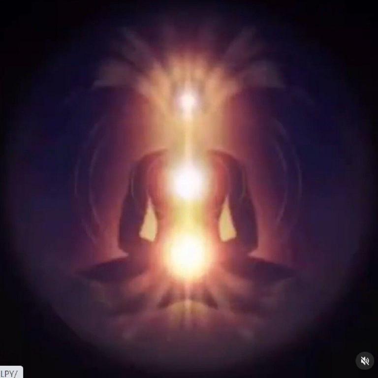 El sistema Reiki Ho, define un camino de vida, siendo también un sistema completo, con…