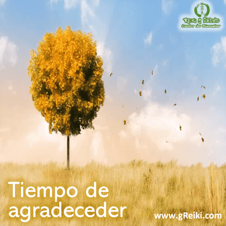 Estamos en una temporada del año que su energía, nos invita a agradecer por nuestros…