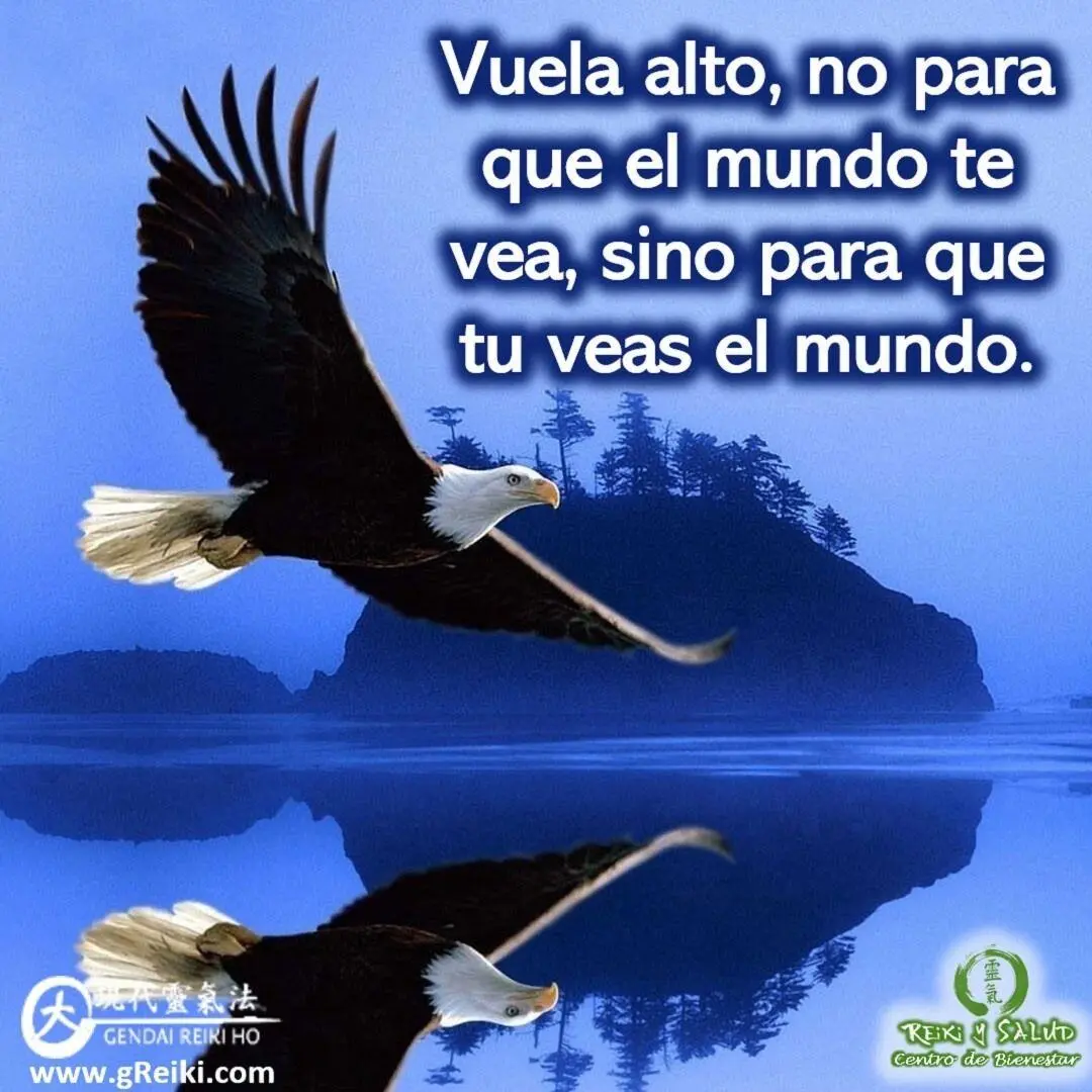 Vuela alto, no para que el mundo te vea, sino para que tu veas el mundo.️  Feliz viaje de auto descubrimiento y despertar. - Casa Reiki y Salud