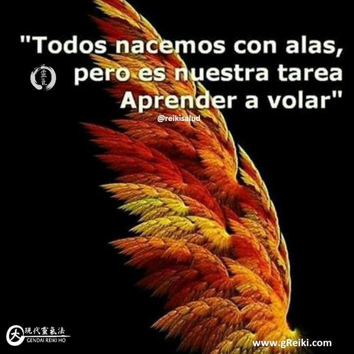 Todos nacemos con alas, pero es nuestra tarea aprender a volar o quizás a recordar…