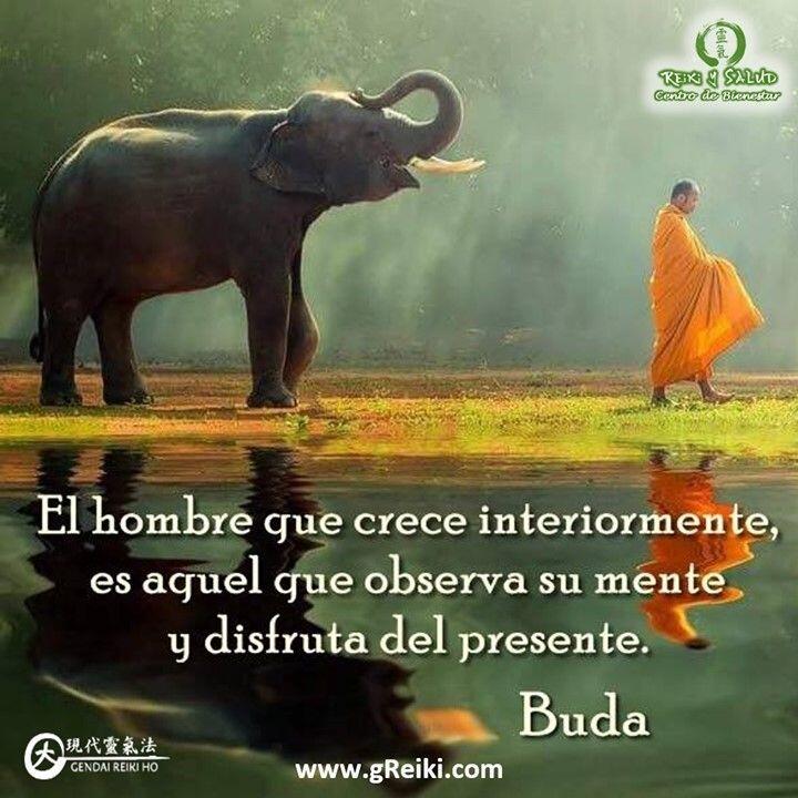“El hombre que crece interiormente es aquel que observa su mente y disfruta el presente”.…