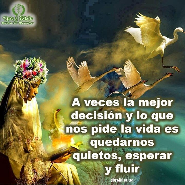 A veces la mejor decisión y lo que nos pide la vida es quedarnos quietos,…