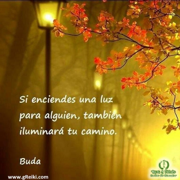 “Si enciendes una luz para alguien, también iluminará tu camino”, Buda️ Feliz viaje de auto…