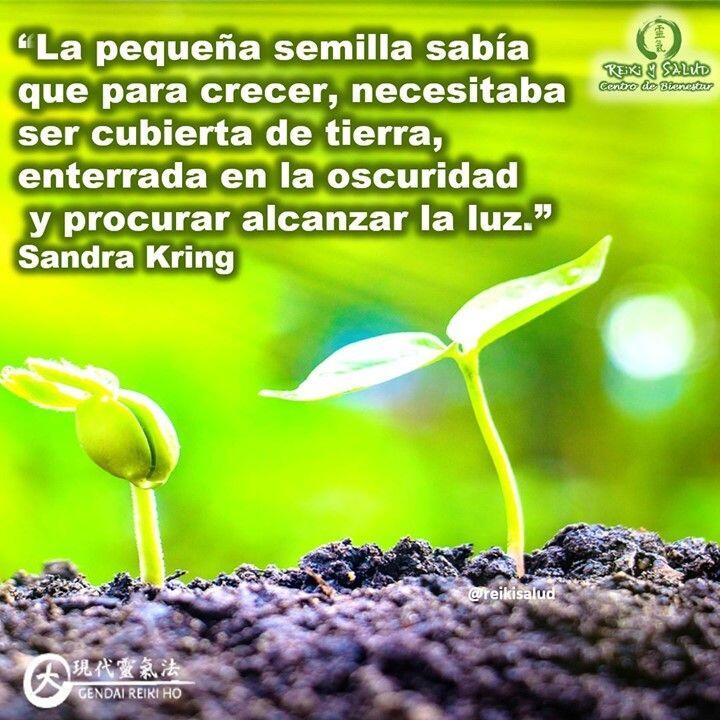 “La pequeña semilla sabía que para crecer, necesitaba ser cubierta de tierra, enterrada en la…