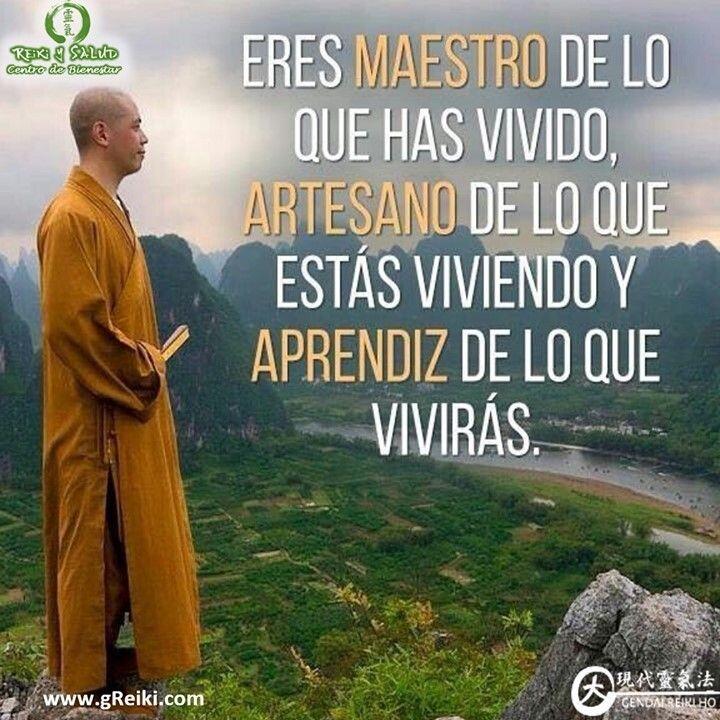 Eres maestro de lo que has vivido, artesano de lo que estás viviendo y aprendiz…