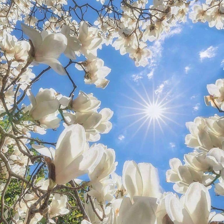 Feliz y bendecido domingo. Ya se siente la primavera. ¿Y tu como te preparas para…