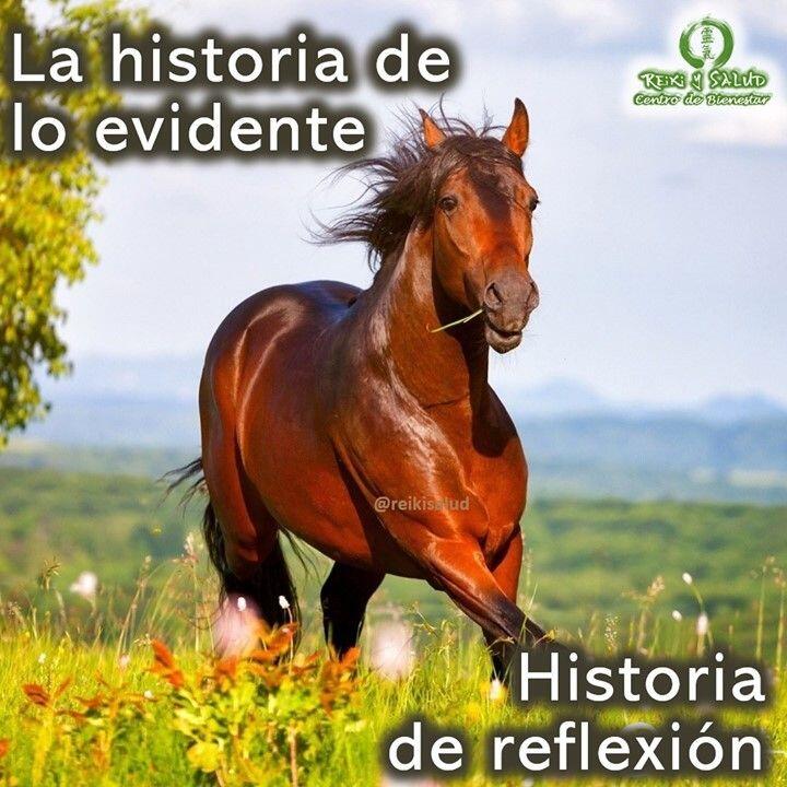 La historia de lo evidente. Las respuestas para tu sanación están dentro de TI. Creo…