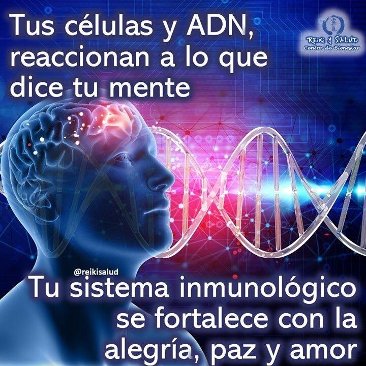 Tus células y ADN, reaccionan a lo que dice tu mente. Tu sistema inmunológico se…