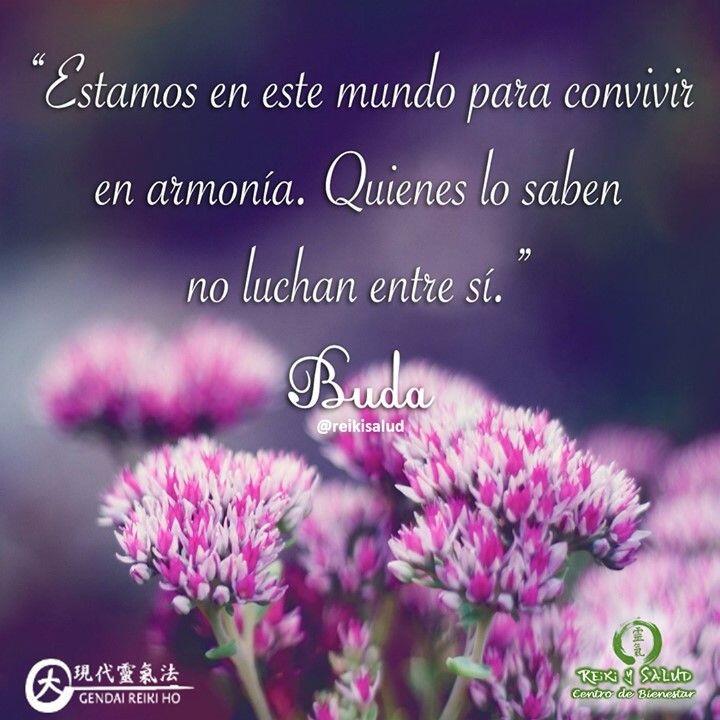 “Estamos en este mundo para convivir en armonía. Quienes lo saben no luchan entre sí”, Buda.El que la armonía sea una necesidad para la convivencia, nos muestra que la diferencia es lo natural. Lo igual no necesita armonizarse, porque funciona en una misma dirección.Estamos llenos de diferencias, no solamente entre unos y otros, sino en cada instante de nuestras vidas. Cada momento es diferente y si pudiésemos vernos, seriamos conscientes de que nosotros también lo somos.Cada una de nuestras células es diferente, cada uno de nuestros órganos son y tienen funciones diferentes, nuestra mente produce pensamientos diferentes en contenido y naturaleza, nuestra calidad de vida, nuestra salud, nuestro bienestar solamente depende de la armonía de su convivencia.No solamente en nosotros, en la sociedad o en la Tierra, es importante la convivencia de todos en armonía.Que la salud, vitalidad y serenidad se manifiesten siempre en nuestras vidas. Como dice Abel, somos tan distintos e iguales.Gracias, gracias, gracias, Namasté, Dino's Restaurant Casa Gendai Reiki Ho, una caricia para el alma, ampliando el circulo de luz, promoviendo una vida de salud y felicidad.🌍Página WEB: www.gReiki.com#espiritualidad #amor #felicidad #abundancia #meditacion #vida #paz #frases #love #luz #gratitud #crecimientopersonal #consciencia #alma #bienestar #inspiracion #despertar #louisehay #reflexiones #despertarespiritual #reikimaracaibo