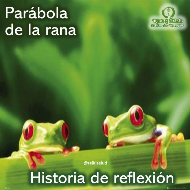 Parábola de la rana, una historia de reflexión. En un bosque no muy lejano, un…