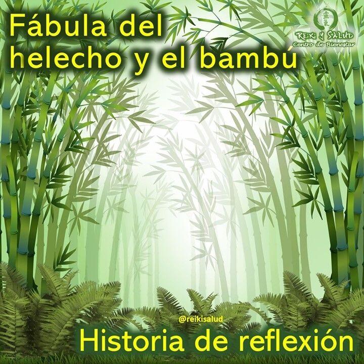 Fábula del Helecho y el Bambú. Había una vez un carpintero que parecía tener su…