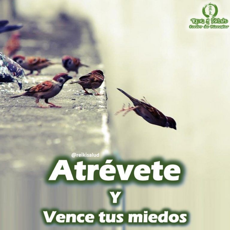 Atrévete y vence tus miedos. El miedo es un sentimiento de desconfianza que impulsa a…