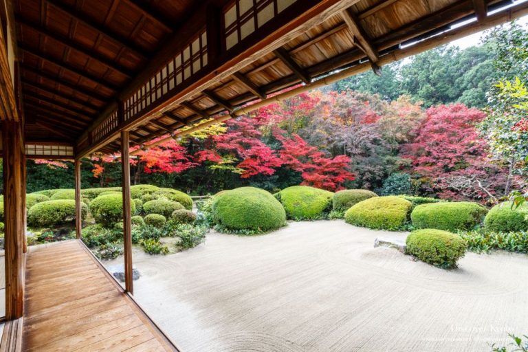 La excepcional casa de un samurái erudito retirado. Shisen-dō es un templo budista de la…