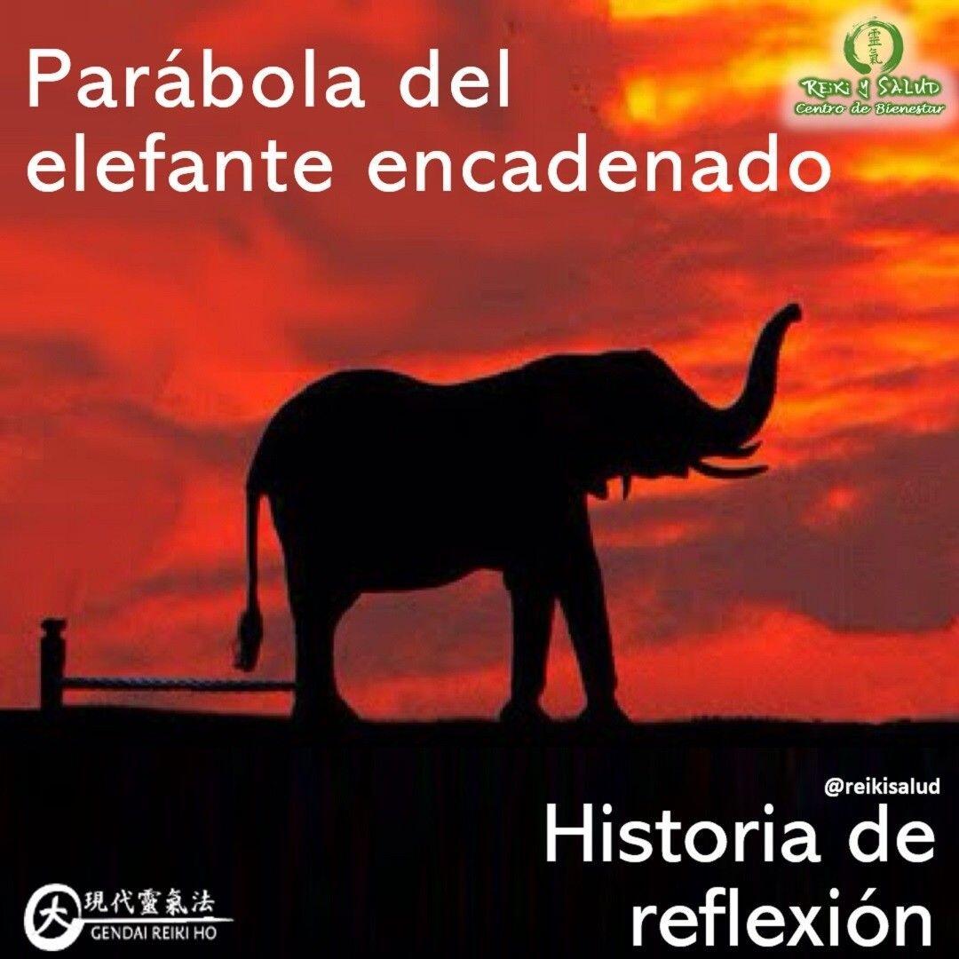 Había una vez un niño muy curioso y sensible que fue al circo y se quedó maravillado al ver la actuación de un gigantesco elefanteEn el transcurso de la función, el majestuoso animal hizo gala de un peso, un tamaño y una fuerza descomunalesDurante el intermedio del espectáculo, el niño se quedó todavía más sorprendido al ver que la enorme bestia permanecía atada a una pequeña estaca clavada en el suelo con una minúscula cadena“¿Cómo puede ser que semejante elefante, capaz de arrancar un árbol de cuajo, sea preso de un insignificante pedazo de madera apenas enterrada?”, se preguntó el niño. ¿por qué no huye de ahí?”Finalmente, compartió sus pensamientos con su padre, a quién le preguntó: “¿Papá, por qué el elefante no se escapa?” Y el padre, sin darle demasiada importancia, le respondió: “Pues porque está amaestrado.” “Y entonces, por qué lo encadenan?”. El padre se encogió de hombros, le dijo: “Ni idea”.Nada más alejarse el padre, un anciano que estaba junto a ellos, y que había escuchado toda su conversación, respondió al niño su pregunta: “El elefante del circo no se escapa porque ha estado atado a esa misma estaca desde que era muy, muy, muy pequeño.”Mientras, el abuelo continuó con su explicación: “Estoy seguro de que el pequeño elefante intentó con todas sus fuerzas liberar su pierna de aquella cadena. Sin embargo, a pesar de todos sus esfuerzos, no lo consiguió porque aquella estaca era demasiado dura y resistente para el elefante bebe.”“Después de que el elefante intentará un día tras otro liberarse de aquella cadena sin conseguirlo”, llegó un momento terrible y extenuado, en el cual se resignó a su destino.”El abuelo miró al niño a los ojos y dijo: “Ese enorme y poderoso elefante que tienes delante de ti no escapa porque cree que no puede. Tiene grabado en su memoria la impotencia que sintió y no ha vuelto a cuestionar ese recuerdo, ni ha vuelto a poner a prueba su fuerza.¿Te ha llegado algún pensamiento mientras leías la parábola? ¿Hay algún pequeño tronco que tu vida, del cual estas atad@?️Feliz viaje de autodescubrimientoGracias, gracias, gracias, Námaste, @dinopierini#reikivenezuela #reikimaracaibo