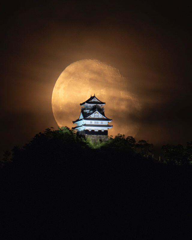 Luna sobre el Castillo Gujo Hachiman. Este castillo es llamado yamashiro, o castillo de montaña,…