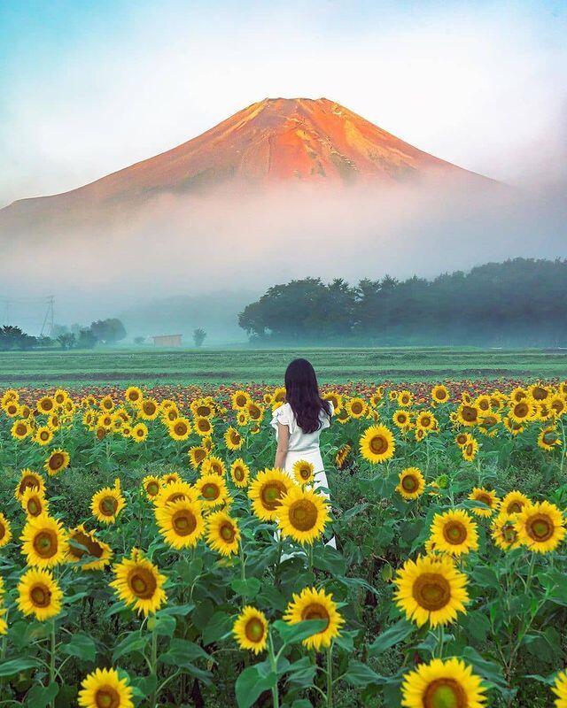 🏔️Mira en la foto y verás que el Monte Fuji es hermoso durante todo el…