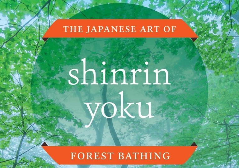 Practica Shinrin Yoku (Baño Forestal) y promueve tu salud. El baño de bosque, también conocido…