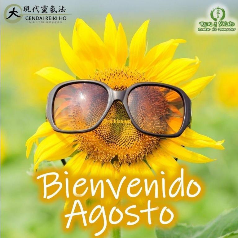 ️Bienvenido Agosto. Estamos en un mes del año donde ya debemos estar viendo el resultado…