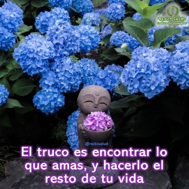 El truco es encontrar lo que amas, y hacerlo el resto de tu vida. Si…