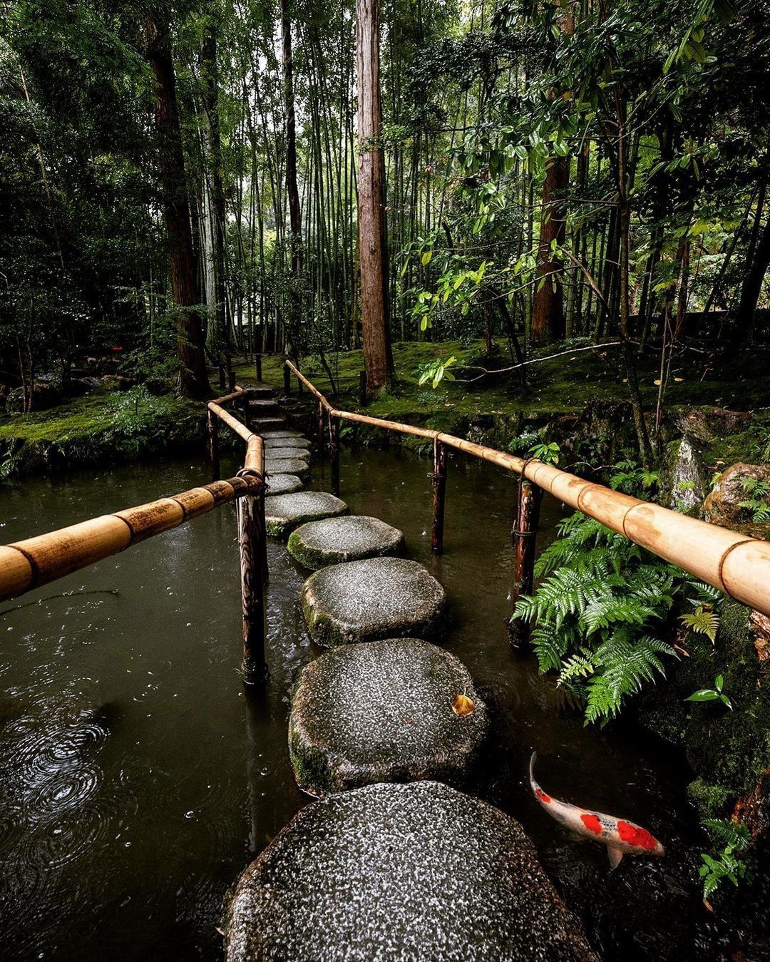El templo Tenju-an es un pequeño templo dedicado al maestro Zen que sirvió al emperador Kameyama en sus estudios religiosos.⁣⁣¿Disfrutas visitando antiguos templos, independientemente de la religión?️ Otro hermoso templo o santuario en Japón.️ Feliz viaje de autodescubrimiento y despertarCasa Reiki y Salud, una caricia para el alma, ampliando el circulo de luz, promoviendo una vida de felicidad y bienestar.Gracias, gracias, gracias, Námaste, @dinopierini🌐Página WEB: www.gReiki.com#consciencia #alma #bienestar #inspiracion #despertar #despertarespiritual #reikimaracaibo #reikivenezuela #reikizulia#japon #GujoHachiman #Hachiman