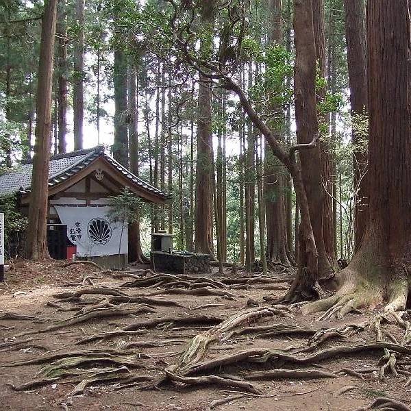 Comparto las fotos, dentro del Monte Kurama (Kurama Yama) del lugar donde se encontraba el santuario en memoria al satori de Mikao Usui, fundador del hermoso sistema Usui Reiki Ryoho. 🔆El Próximo 15 de Agosto, se celebra el día Mundial de Reiki Ho. Celebrando el 156 aniversario del nacimiento de Mikao Usui y los 99 años del Usui Reiki Ho.Si bien es cierto el lugar existe hoy día, el santuario fue fuertemente afectado por un Tifón, que azoto a Japón y está en remodelación.Esta situado en un parque abierto al público y está lleno de templos tanto budistas como sintoístas.Independientemente de Reiki es una montaña considerada sagrada para muchas tradiciones y creencias.Gracias al Maestro y Sensei, Mikao Usui, en su aniversario. Mikao Usui fundador de la práctica de armonización y sanación, que hoy día llamamos Usui Reiki Ryoho y se entregó a la tarea de difundir su enseñanza a tantas personas como fuera posible, pues entendió que el Reiki era un regalo del Universo para compartir con toda la humanidad.Gracias, gracias, gracias, a la luz de Reiki, Mikao Usui, y todas las escuela y linajes conectados energéticamente con él, por mantener su legado, ampliando siempre el circulo de luz.#espiritualidad #amor #love #gratitud #consciencia #bienestar #reiki #mikaousui #abundancia #despertar #ikigai #reikimaracaibo #reikivenezuela #sanación #reikiusui, #gendaireiki #gendaireikiho #usuireikiho