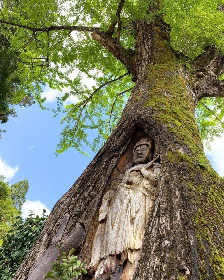 ¿Alguna vez has visto algo tan impresionante tallado directamente en un árbol?. La espléndida escultura,…