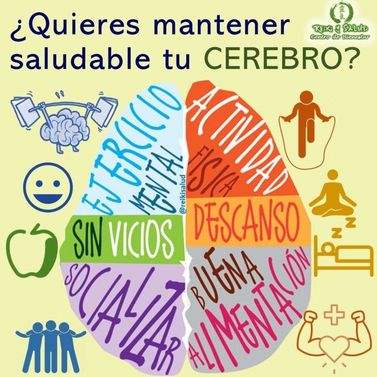 Como cualquier otra parte del cuerpo, el cerebro es un órgano que se necesita alimentar…