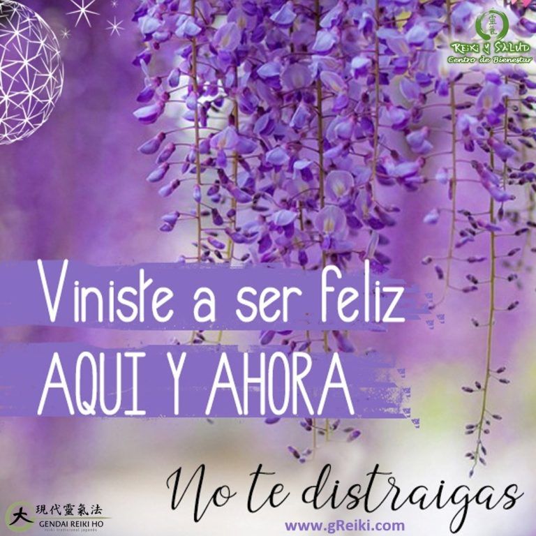 Viniste a ser FELIZ, AQUÍ y AHORA, no te distraigas. La FELICIDAD es el camino…