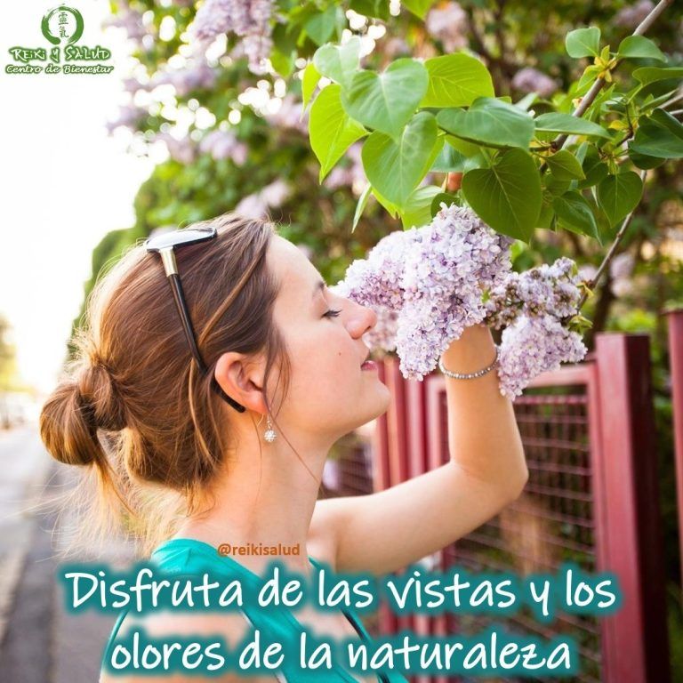 Disfrutar de las vistas y los olores de la naturaleza, puede beneficiar su mente, cuerpo…