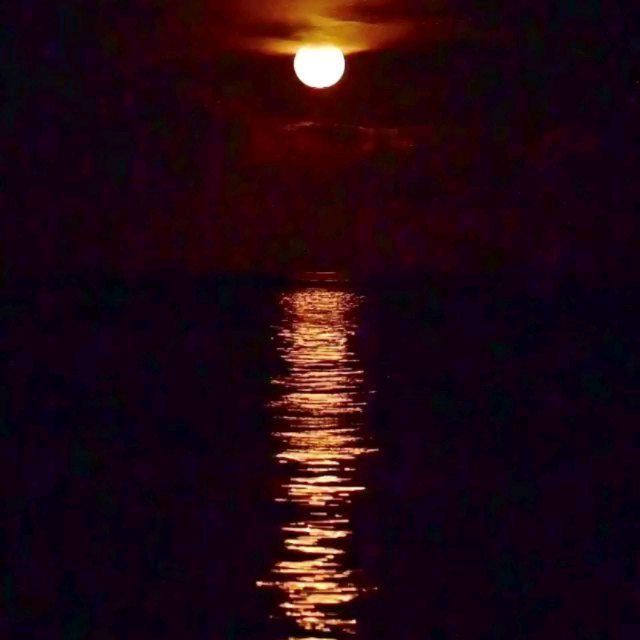 Luna de de otoño y el sonido de las olas en la noche en la…