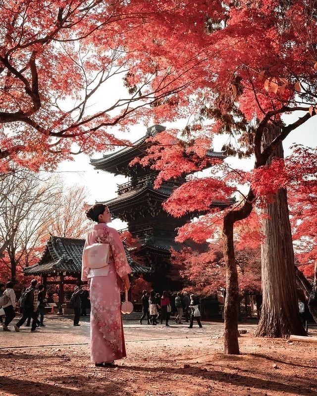 ¿Qué te gusta más, el santuario, el kimono o los colores otoñales?. ⛩️¡Porque es una…