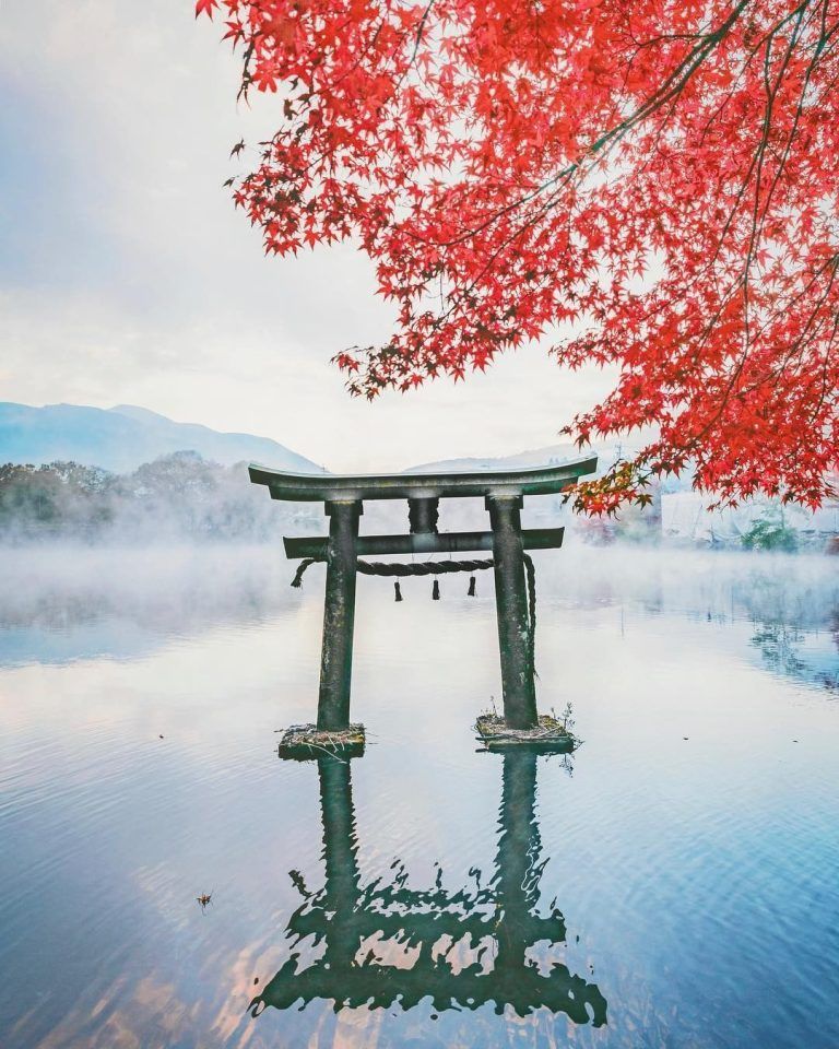 ¿Puedes creer lo que ven tus ojos?. La Puerta Torii del Templo Bussanji, que descansa…