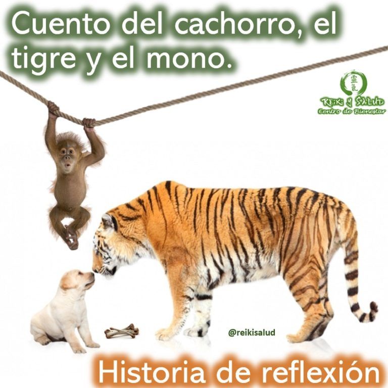 Un cachorro perdido en la selva, vio un tigre corriendo en su dirección. Comenzó entonces…