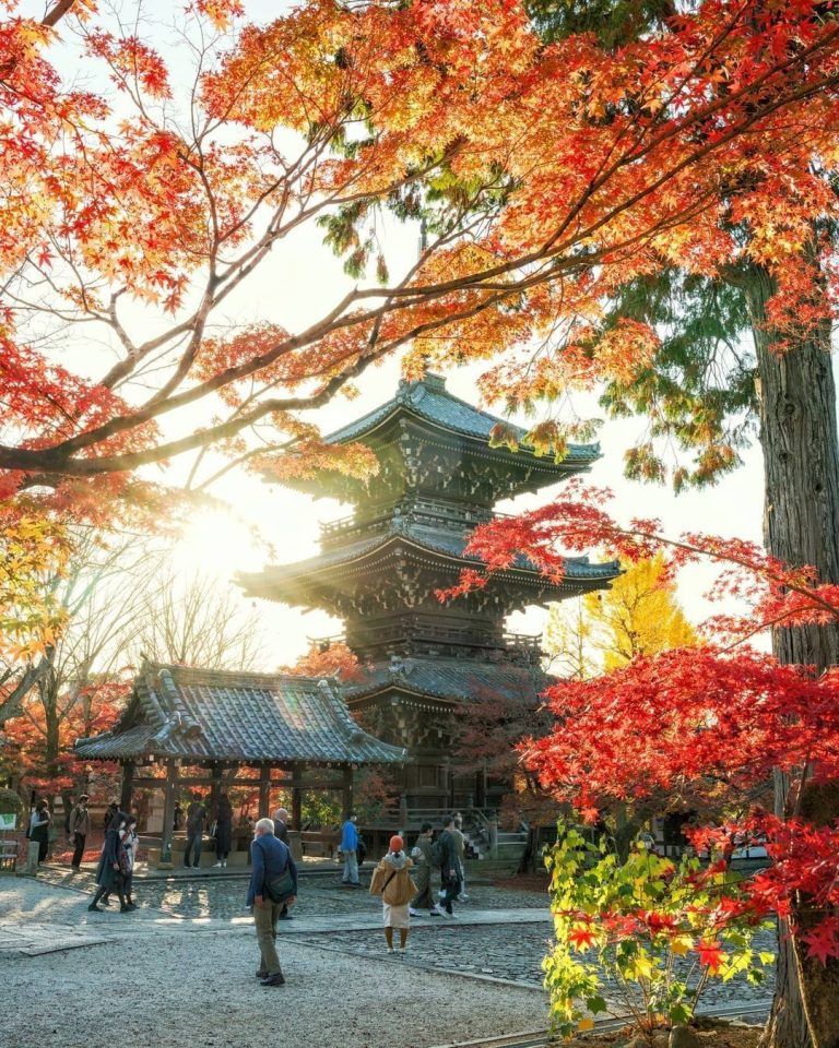 Llegó el otoño ¿Cuál es tu estación favorita?. Los colores del otoño son también espectaculares,…
