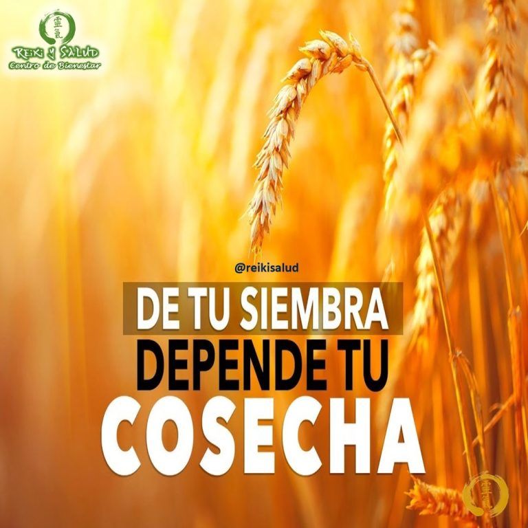 De tu siembra, depende tu cosecha. La vida es el resultado de nuestra siembra. Darse…