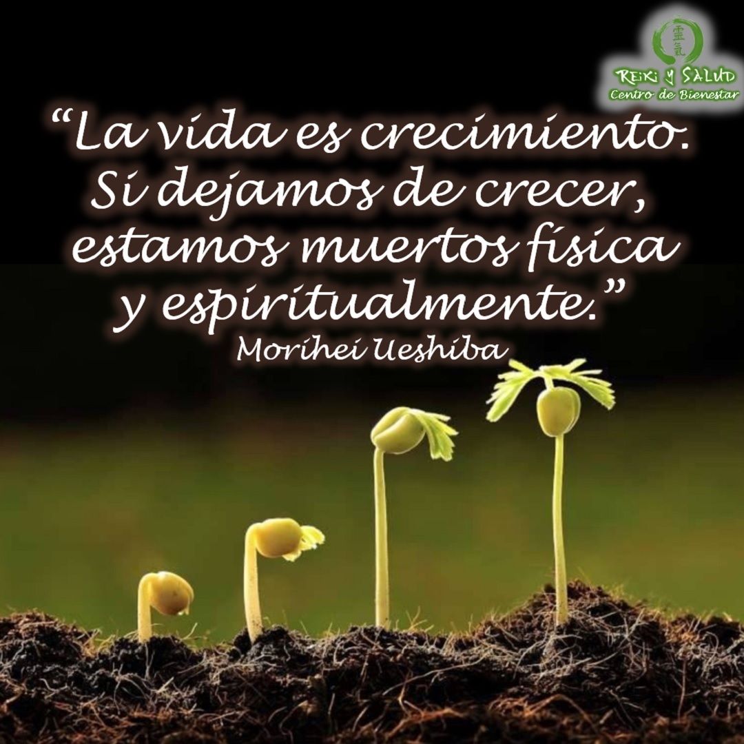 “La vida es crecimiento. Si dejamos de crecer, estamos muertos técnica y espiritualmente”, Morihei UeshibaTe invito a reflexionar durante tu meditación y oración de agradecimiento todas las cosas nuevas que aprendiste y como creciste ese día y todos los días.️Si entre tus propósitos del próximo año está el empoderarte de tu energía de armonía y sanación, te invitamos a seguir este camino.🌞 Quiero invitarte descubrir y utilizar un sistema que te proporcionará herramientas sencillas y poderosas, para ayudarte a armonizar, despertar y restaurar tu capacidad y energía de salud y bienestar, aprendiendo este sistema con la escuela tradicional japonesa Gendai Reiki Ho, en Casa Reiki y Salud.🌞 Para todos aquellos que quieran iniciar este viaje profundo de aprendizaje y despertar, los invitamos a contactarnos o registrarse en el próximo Curso Introductorio Sanando con Reiki que se iniciara el 12 de Diciembre y curso formal que inicia el 09 de Enero se dictará el Curso de Reiki Ryoho Nivel Shoden (Nivel I - El despertar).Feliz viaje de autodescubrimiento y despertar.Gracias, Gracias, Gracias, un abrazo de luz, Namaste, @DinoPierini#cursosmaracaibo #talleresmaracaibo #reiki #reikimaracaibo #reikivenezuela #gendaireikiho #shoden #reikiusui #paz #gratitud #reikisalud #reikizulia