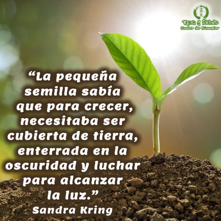 “La pequeña semilla sabía que para crecer, necesitaba ser cubierta de tierra, enterrada en la…