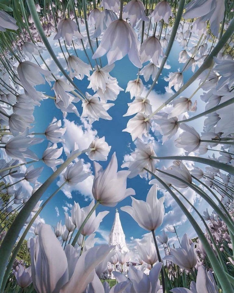 Para sanar y despertar, debemos solo abrir los ojos, dejándonos fluir con nuestra naturaleza, esencia…