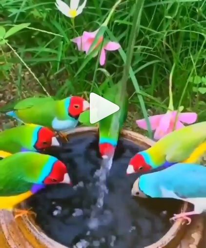 La vida, se trata de compartir, desde la paz y plenitud. Que hermosa toma de…