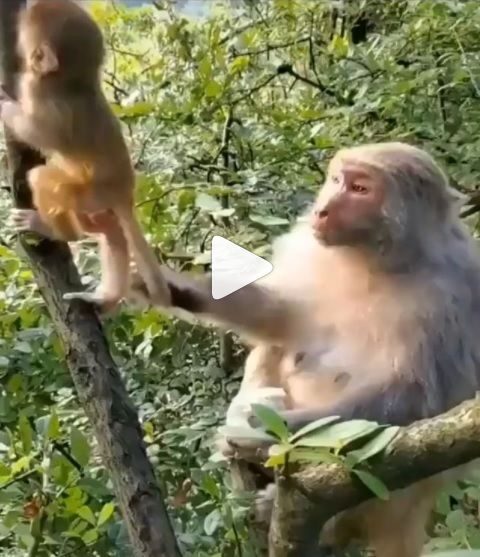El lenguaje de una madre es Universal. Feliz viaje de autodescubrimiento.