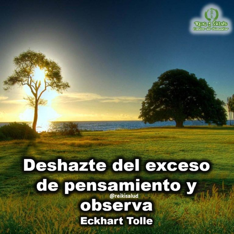 Deshazte del exceso de pensamiento y observa. No resuelves los problemas pensando; pensando los creas.…