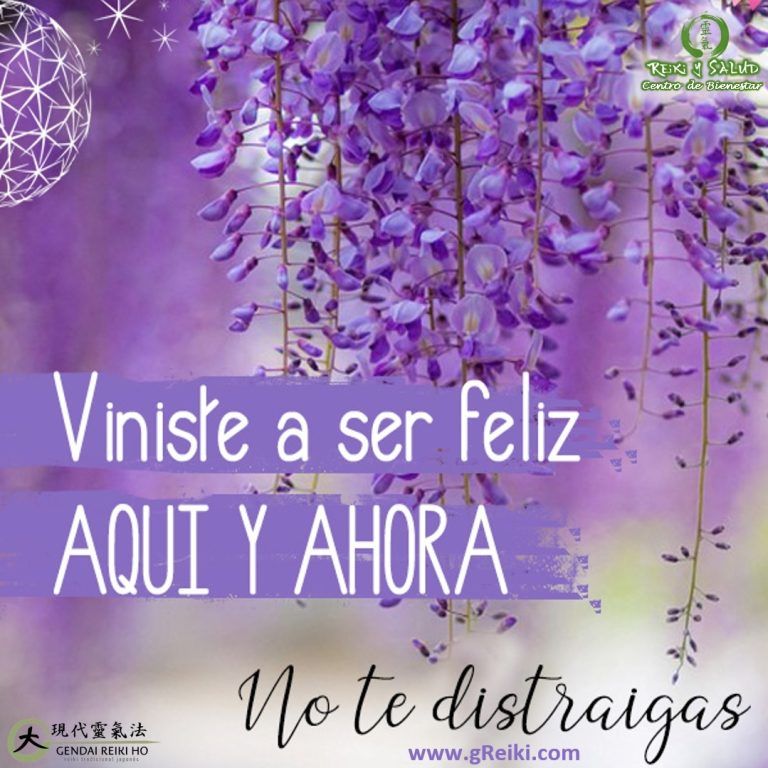 Viniste a ser FELIZ, AQUÍ y AHORA, no te distraigas. La FELICIDAD es el camino…