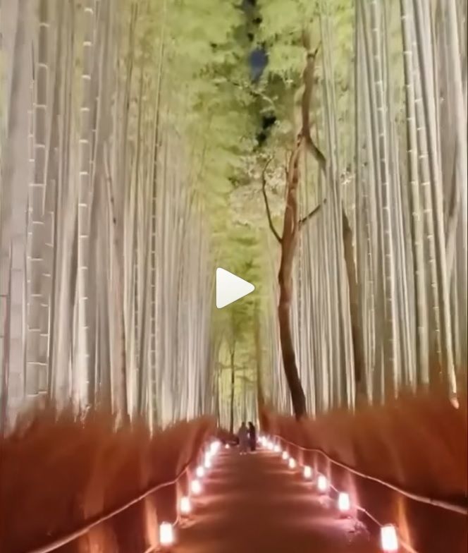 El festival Hanuman Lantern Festival se lleva a cabo en Okayama del 10 al 19…